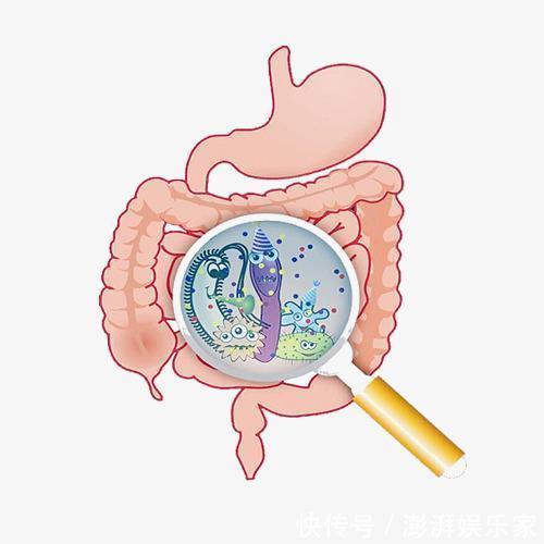 腹泻|经常腹泻、便秘医生养护肠道,只需做到3点,轻松找回益生菌