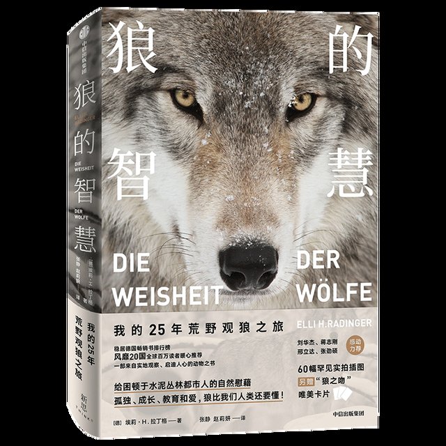  好书|2020中信出版年度图书｜40本入围好书来啦！（上）