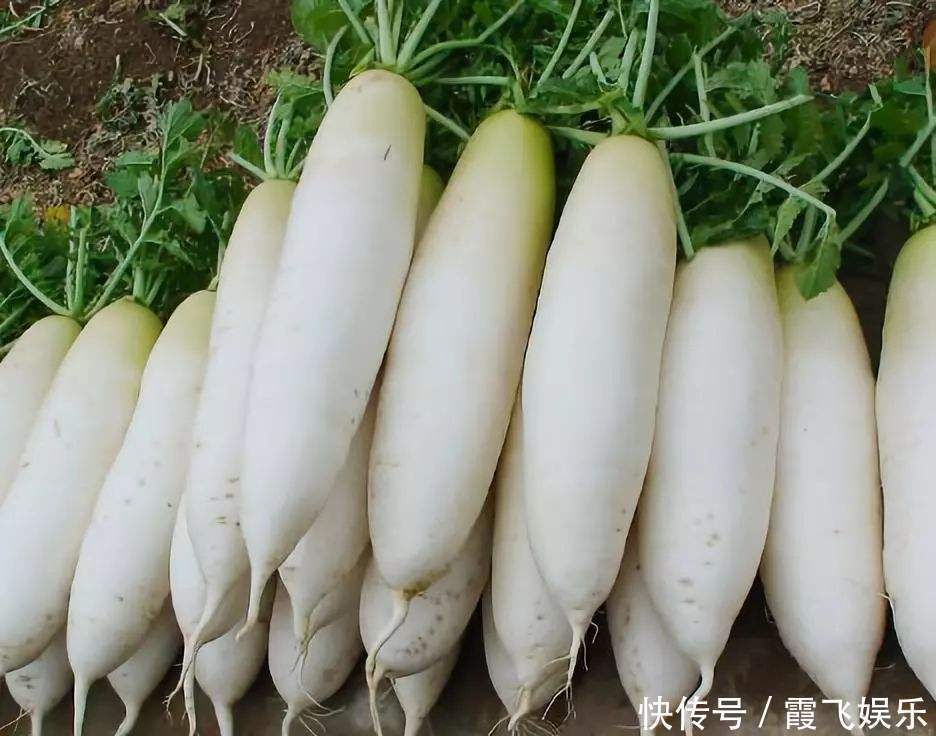 炖白萝卜汤时加一物,滋补暖胃,补钙质,咳嗽不咳,增强免疫力