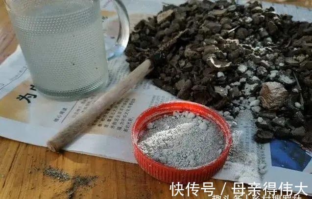 用它养兰花，一肥三效：促根、延长花期、改善水质，好多人不知道