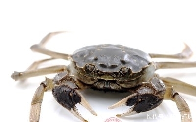 煮熟的螃蟹隔夜能吃吗 做好这点就没问题