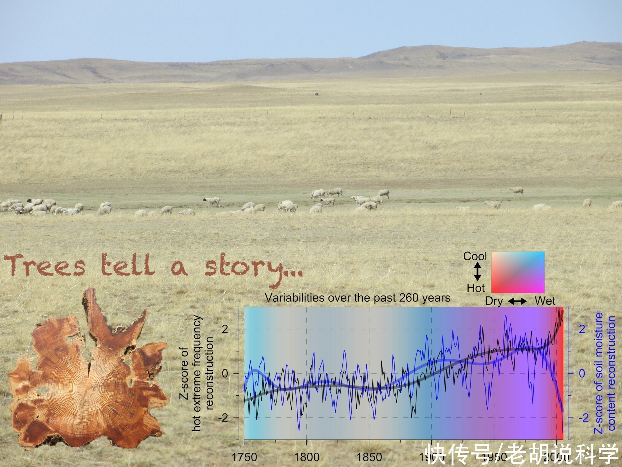 土壤 研究表明,前所未有的干旱将出现在东亚内部,且是不可逆的