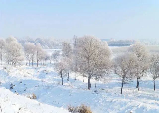 清代为什么流放宁古塔最为残酷?档案揭示令人毛骨悚然的真实往事