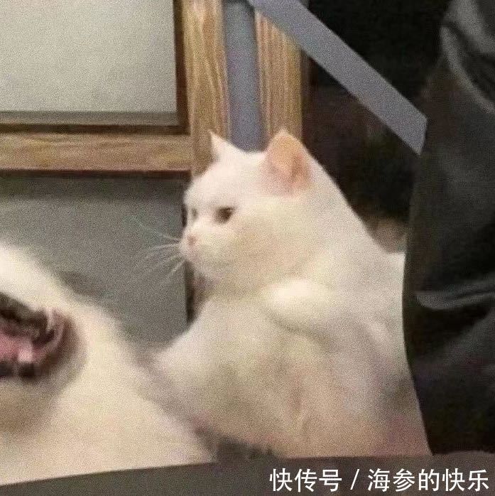 情侣头像|搞笑女的恋爱情头