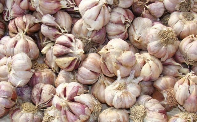 菜农|买回来的大蒜老是发芽菜农教我这招，存放一年都不会发芽了