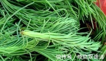 副作用|碱蓬菜这种野菜，营养价值极高，很多人当成普通的菜！可惜了