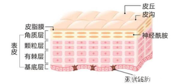 护肤 水、乳、精华液、眼霜顺序怎么用？最全的护肤的正确步骤（10步）