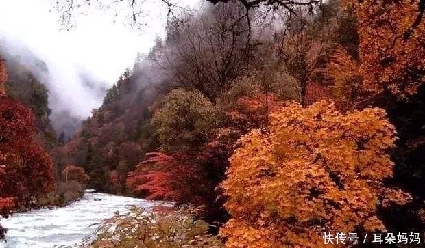 四川又一景区“飘了”，暗藏“小九寨”，门票30元不输香山胜景！