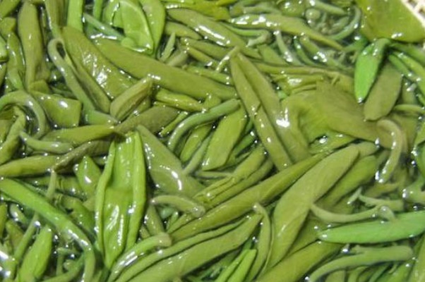红薯|比红薯还强的抗癌野菜,扔地里老死也没人要,老中医却一直当成宝