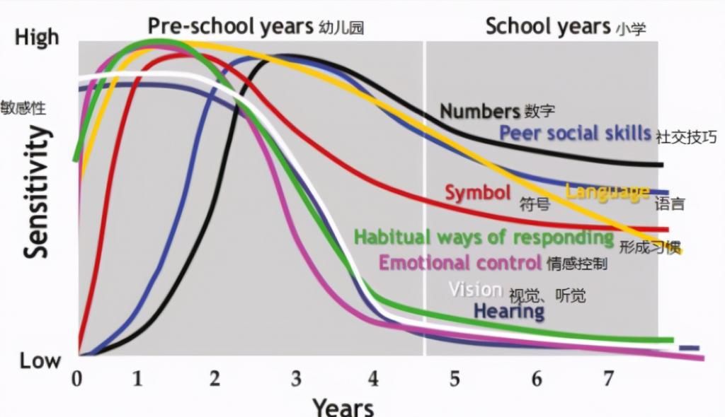 家长|哈佛研究表明：孩子的大脑发育高峰期一生只有3次，家长请抓住