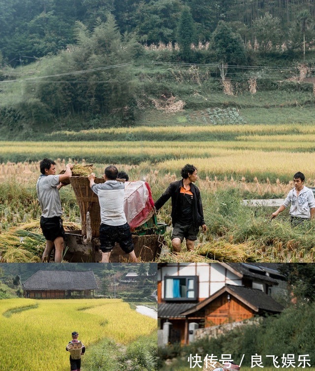 秋色|贵北纵贯线：四面山极致风光和梧桐山民宿