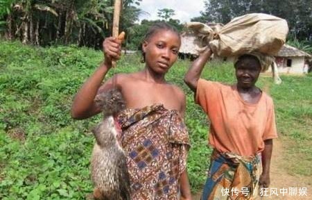 喜欢|在非洲有一类肉,价格比青菜便宜还难卖,中国人却超喜欢吃