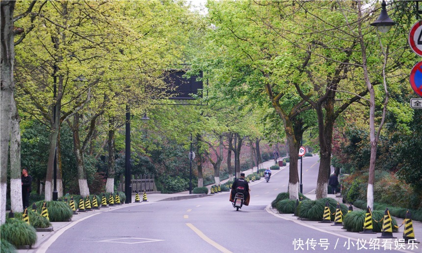 木棉|杭州的春天也太早了，来茅家埠赏风景挖野菜，寻找春天的气息