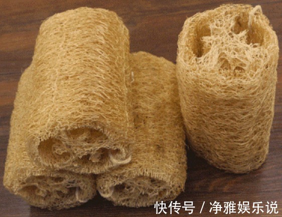 珍宝|农村常用的“洗碗布”,功效却堪比冬虫夏草,被中医视为珍宝