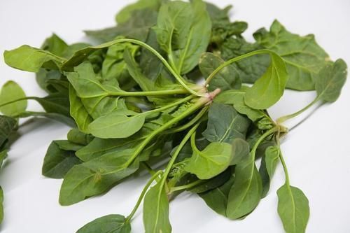 蔬菜|多吃菜能降血糖?2种菜若经常吃,血糖可能会一升再升,要少碰