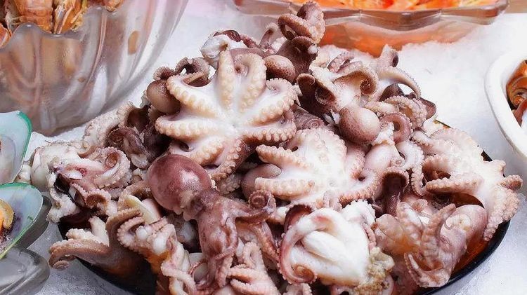 白露过后，如果不差钱，这5种海鲜给家人尝尝，肥美鲜嫩又营养