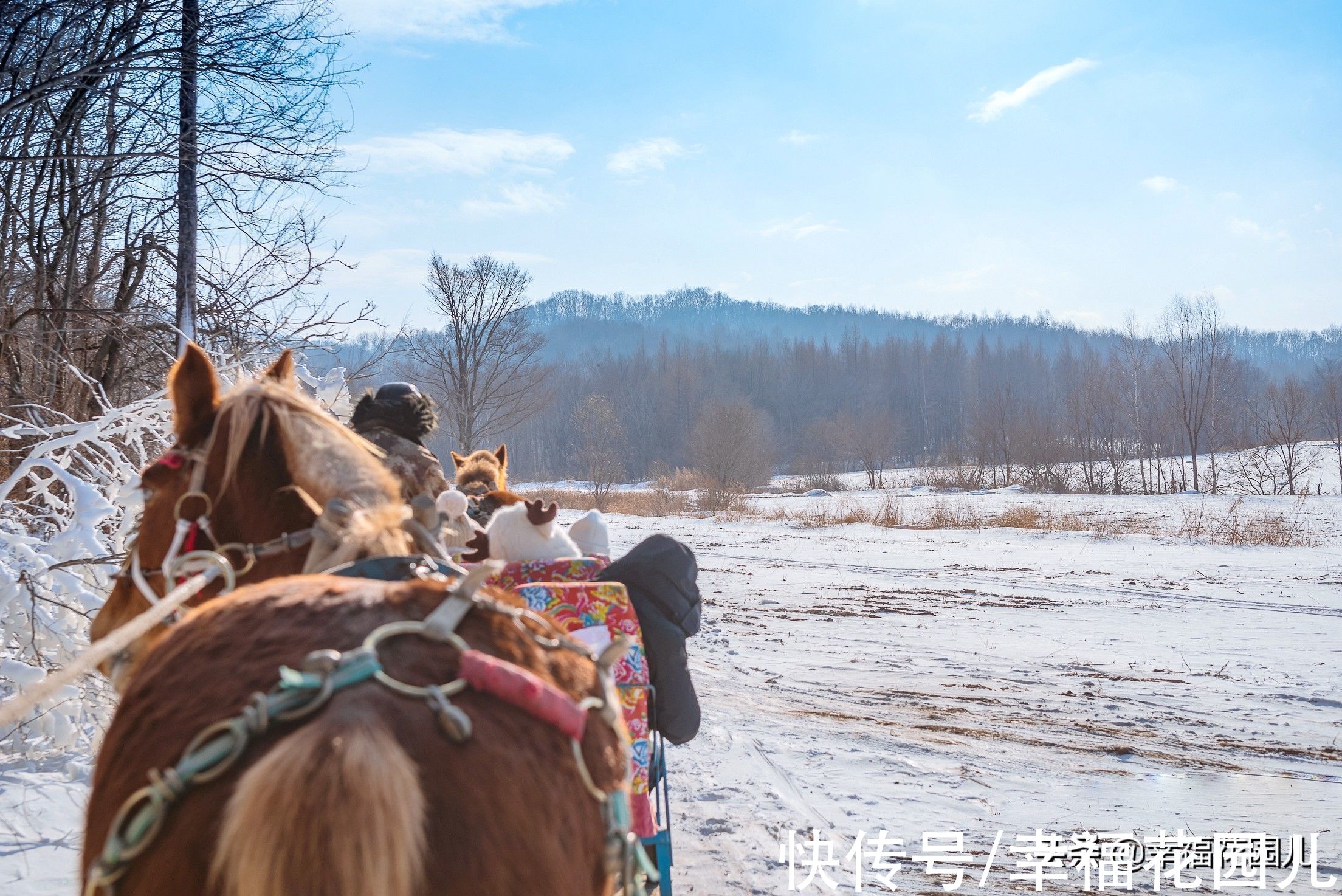 老桥|赏冰、玩雪、看美景，找回儿时过年的味道，就在非常冰雪黑龙江