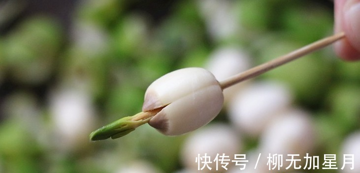 美味|夏天1种高钾食材正当季，去皮煮一煮，营养美味，过阵子就少了！