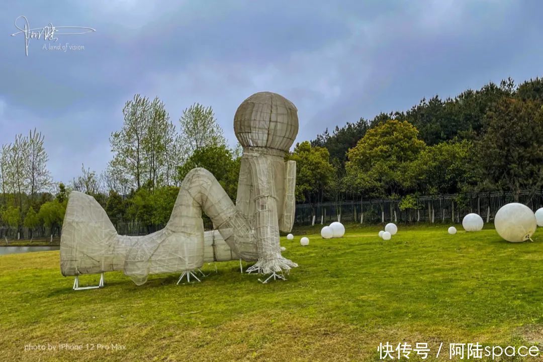 手机抓拍大雨中的木兰草原，尽现其真实的美