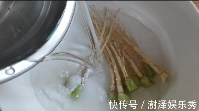 红枣|夜里翻来覆去睡不着，80岁奶奶告诉我一个方法，一把香菜解决难题