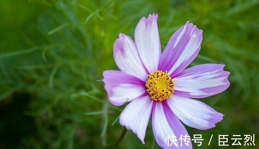 前任|2天后,爱错了人,姻缘再续,事业提升,异常激动,终拥前任入怀