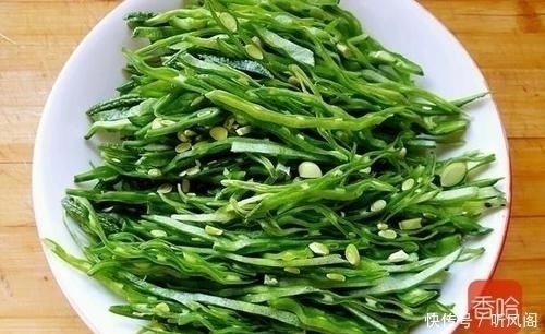 老少皆宜|遇到这菜不能放过,1斤等于20个鸡蛋,25杯牛奶,5元一斤要多吃