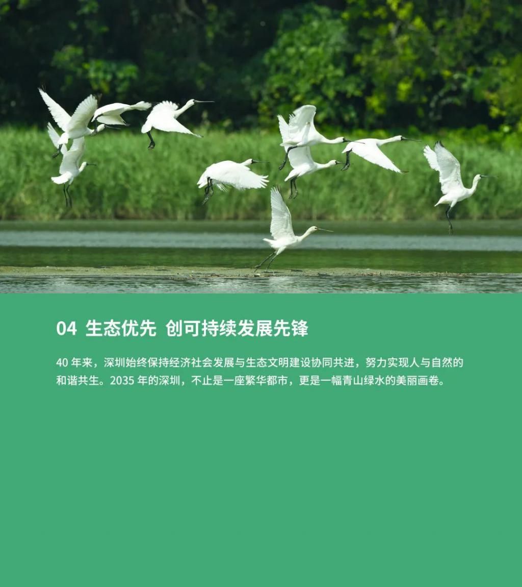 公示|最新发布！深圳2035国土空间总体规划草案公示
