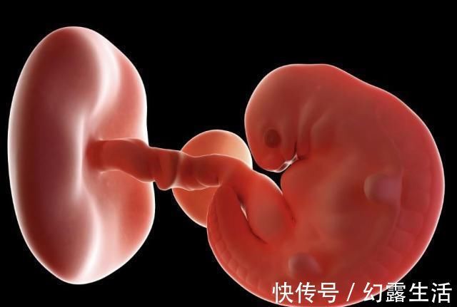 宝宝|怀孕1~40周,每周身体有何变化?送你一份“孕期清单表”!