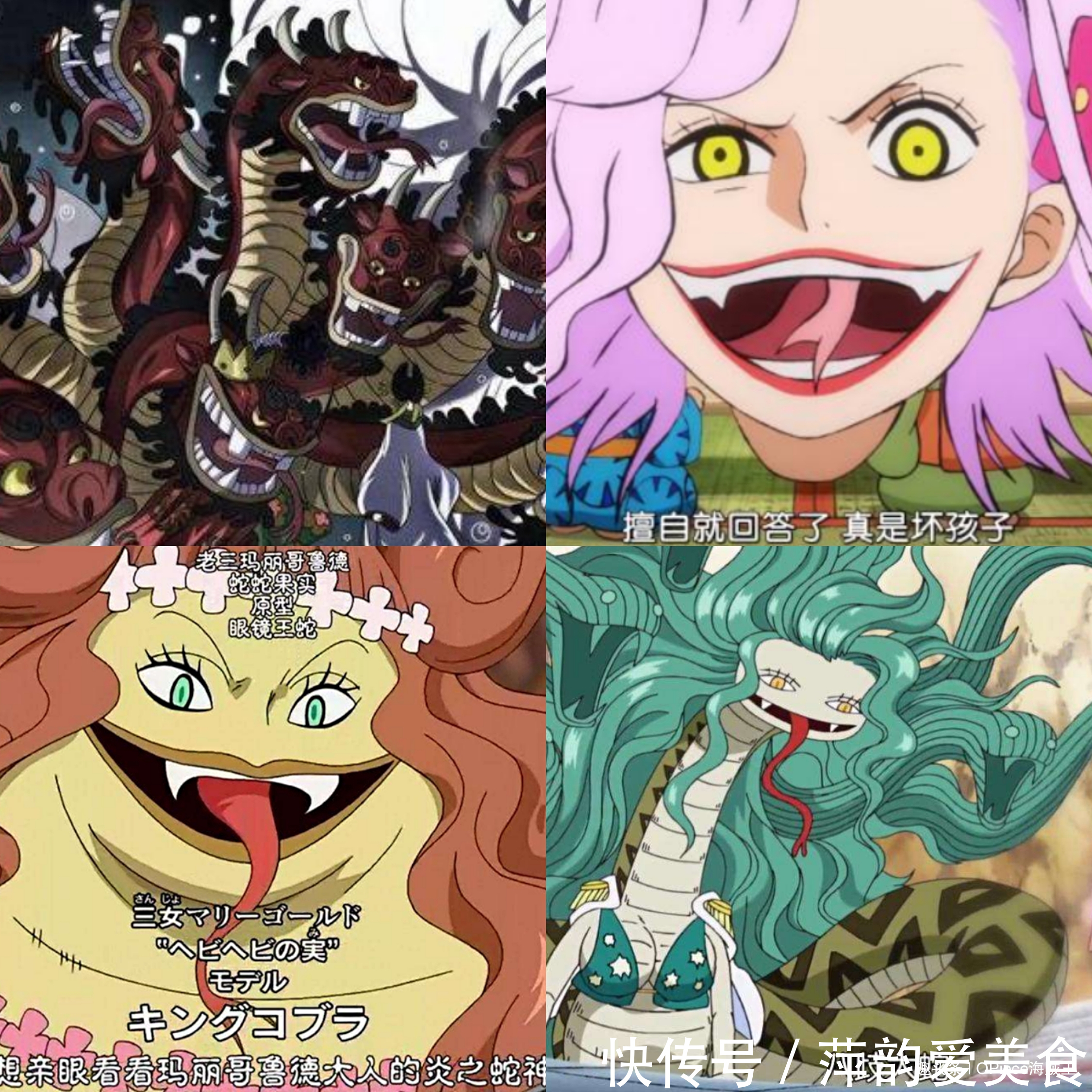 九尾狐|海賊王:奇妙的動物系,同名果實存在多種形態!龍龍果實多達5顆