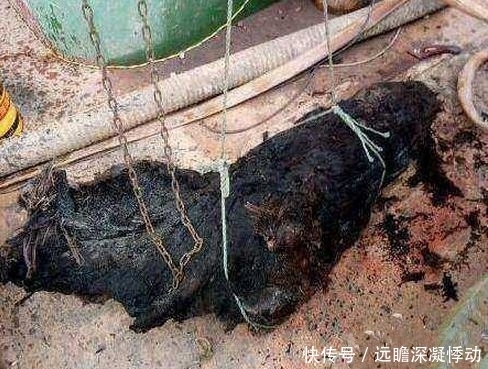 黑木|奇闻:男子打鱼捞出“黑木”,拿去做鉴定,结果乐开了花