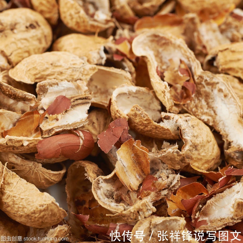 花生|我们吃花生丢掉壳不要丢,它在养花方面起着重要的作用。