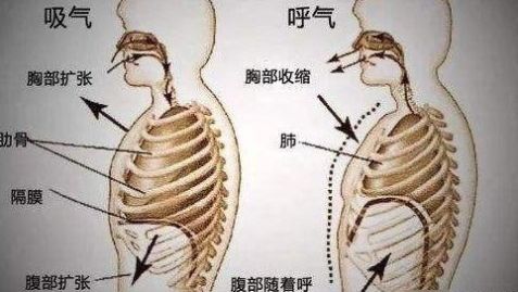 每天三分钟腹式呼吸 竟然有那么大的好处 快资讯