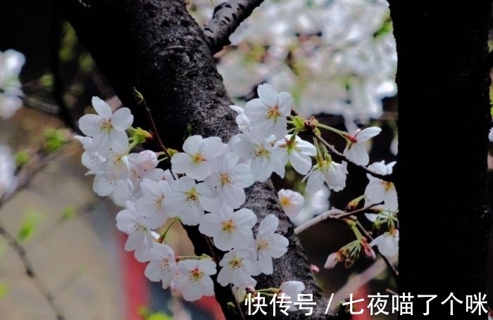 天蝎座|年底好运一波接一波，拥抱桃花运，3星座乘风破浪，快脱单了