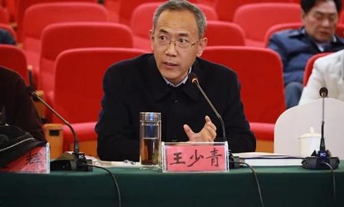  调研|国内众多顶尖考古专家齐聚淮阳时庄遗址现场调研及学术研讨