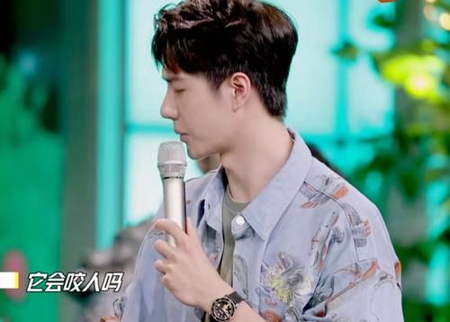 收藏者|王一博对昆虫感兴趣又害怕,真的是又怂又好奇