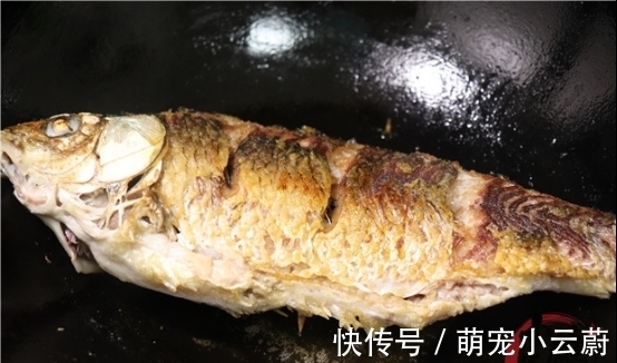 大姐将一大瓶雪碧倒进鱼桶中,不到1分钟,鲫鱼的反应真是绝了!