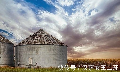 桃花|八月，旧爱已去，桃花飙升，良人在侧，雨中相吻，爱情完璧归赵