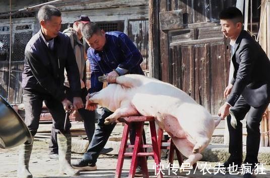 老手@曾是“铁饭碗”的6种老手艺人,一人养活全家,如今却逐渐消失了