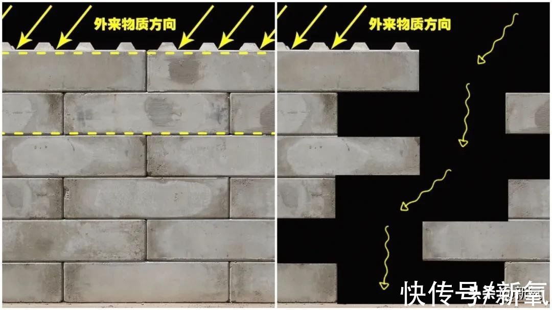 医美 从护肤到轻医美，敏感肌到底该怎么做？