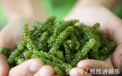 肿瘤|在农村多吃些野菜,具有抗癌、抗肿瘤、延缓衰老、美容养颜等功效