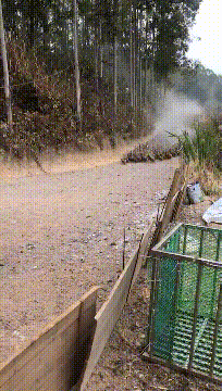 |搞笑GIF趣图:去吃席,不但没有吃饱,还弄了一身菜