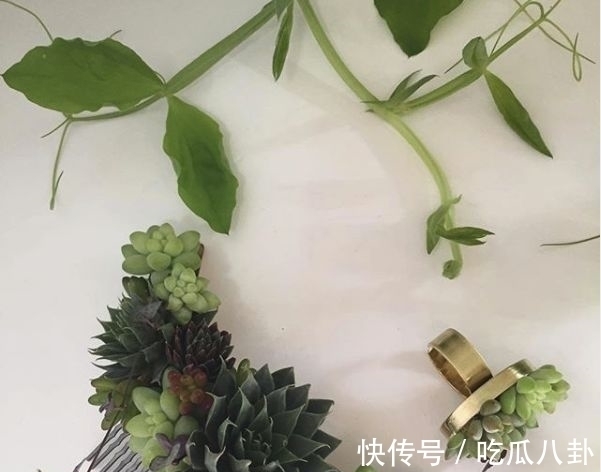 耳环#不是所有首饰都是珠宝的,多肉做成首饰,颜值完全秒杀大牌首饰!