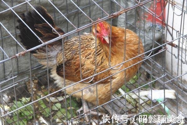 食物|得癌后不能吃的“发物”,并不是猪牛羊,3种食物才是真该忌口的