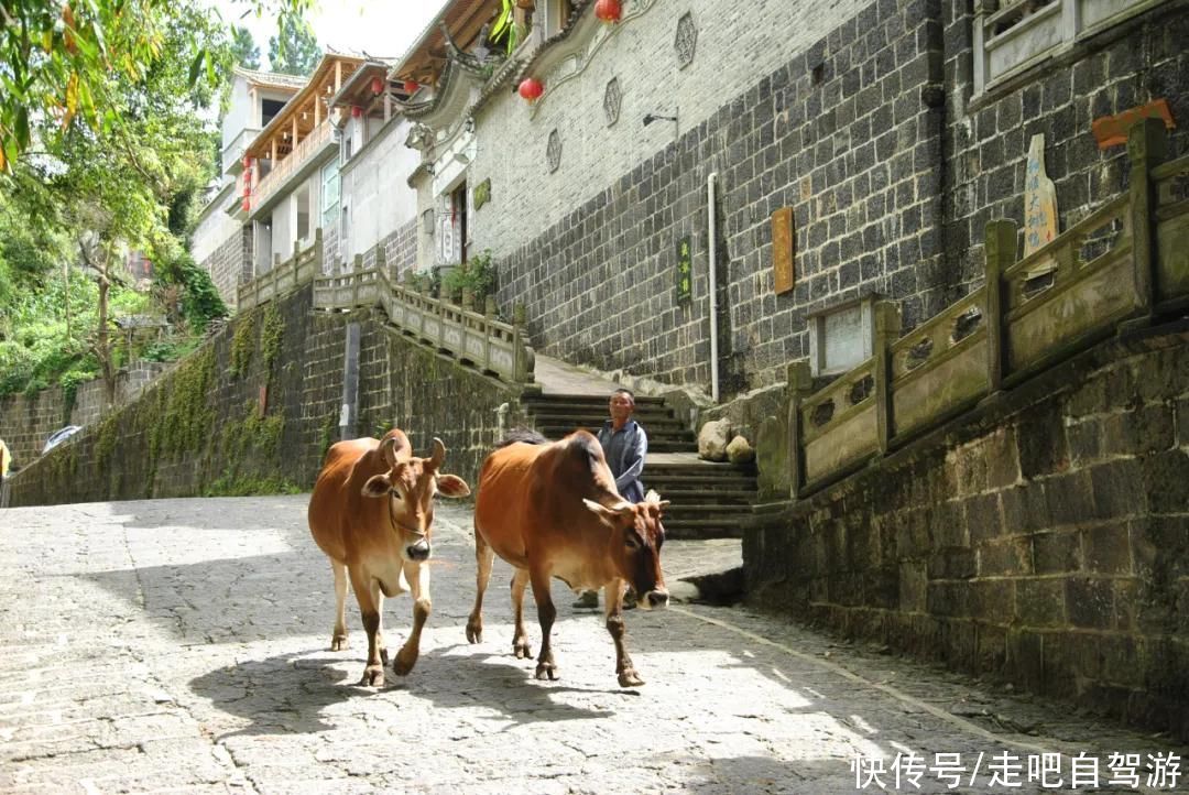 腾冲|徐霞客人生旅途的最后一站，是一座怎样美丽的边境小城？