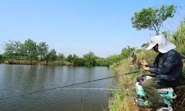 饵料再好选错钓位也没用，钓鱼选择钓位是门学问，技巧都在这里