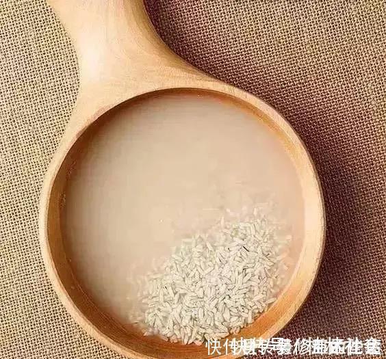 为什么你养的君子兰始终不开花？问题出在浇水上，四种水轻松化解