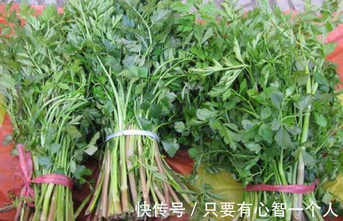 大肚腩|女人不想大肚子，水桶腰，3种野菜，刮油清脂，减肥，甩掉大肚腩