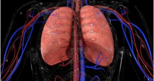 肺癌|早期肺癌没有症状，细数早期肺癌发现的五种方式，您绝对想不到