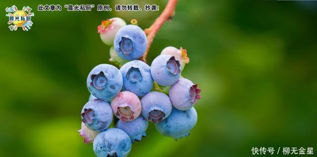 抗氧化|蓝莓曲奇,9.9元一盒的蓝莓,还可以这样吃清香柔软、甜而不腻