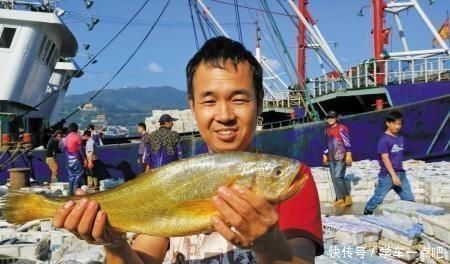 5种“最贵”的海鲜,普通人只有看着的份,土豪也只可能吃过1种